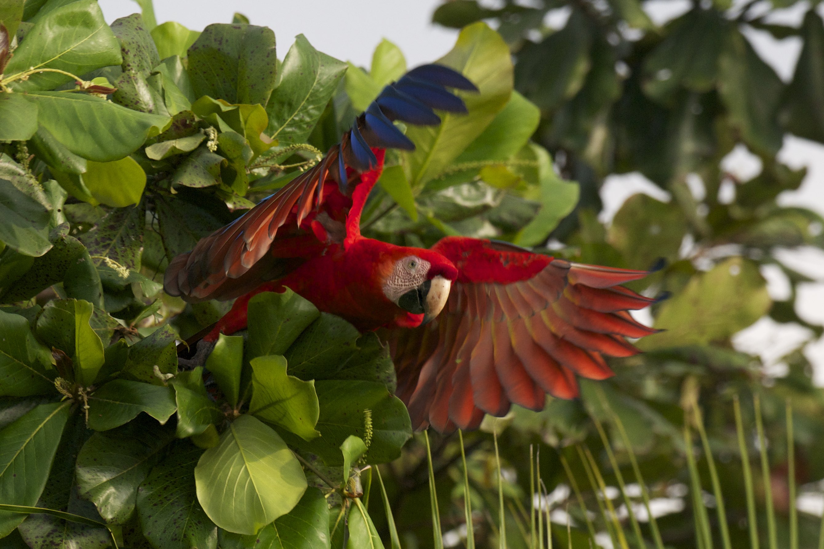 Best Europe water falls to visit this summer